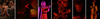 071010_luff_big_small