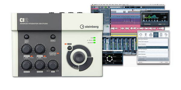 Steinberg_c12