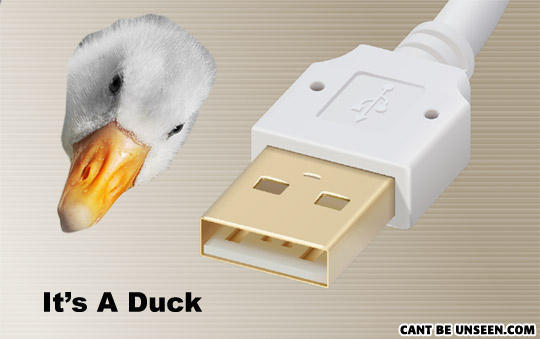 duck.jpg