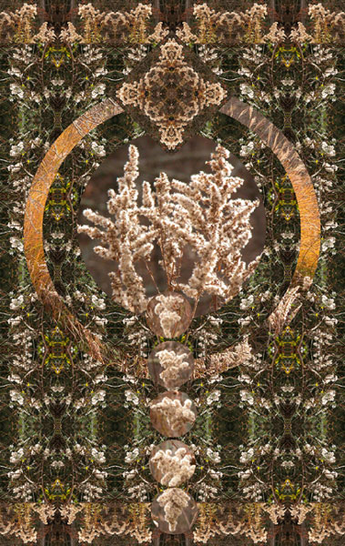 Design86_8