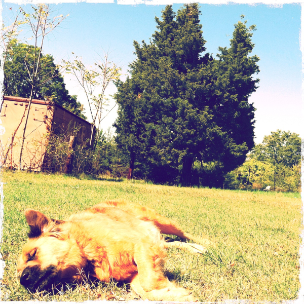 Hip 339531254.943873