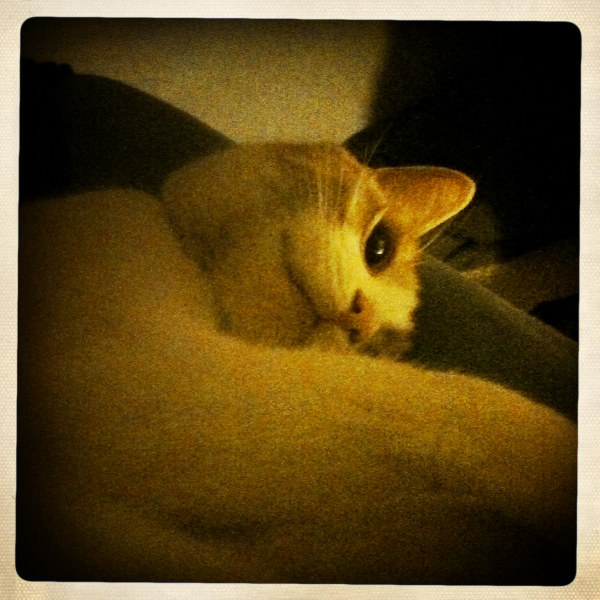 Hip 340263932.421058