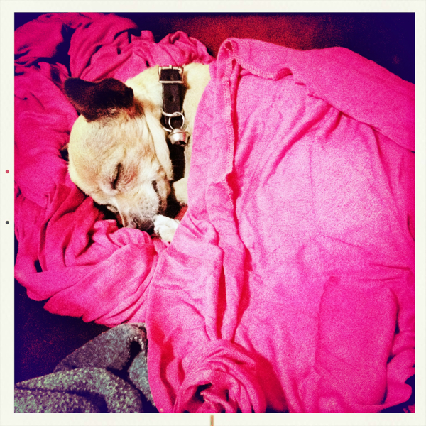 Hip 338628221.845903