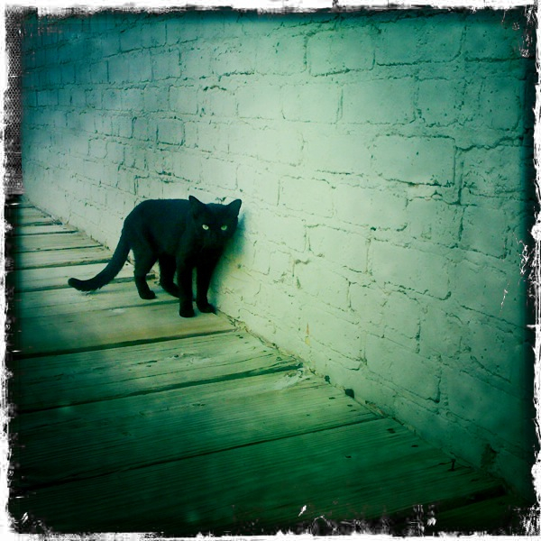 Hip 333740044.437361