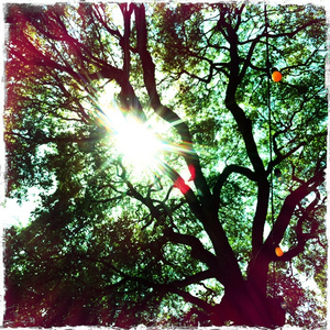 Hip 336943605.234027