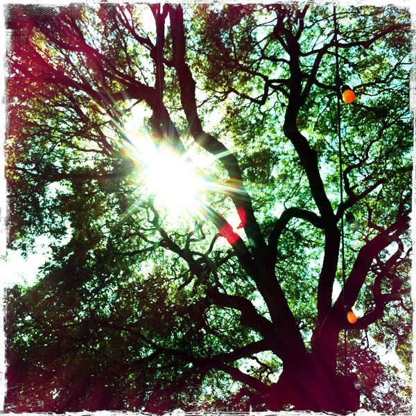 Hip 336943605.234027