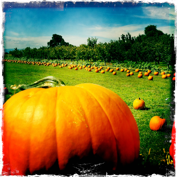 Hip 339280582.950344