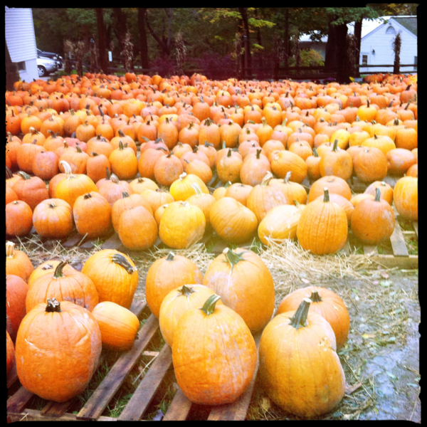 Hip 340924030.448172