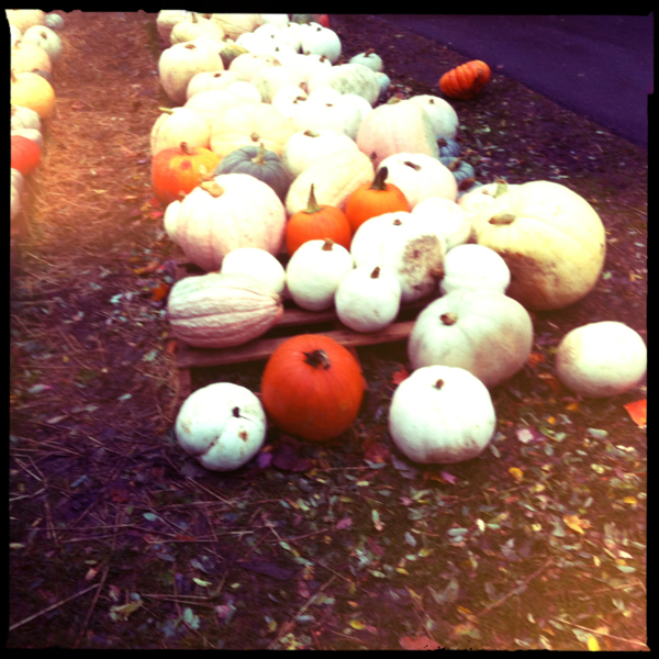 Hip 340924004.947634