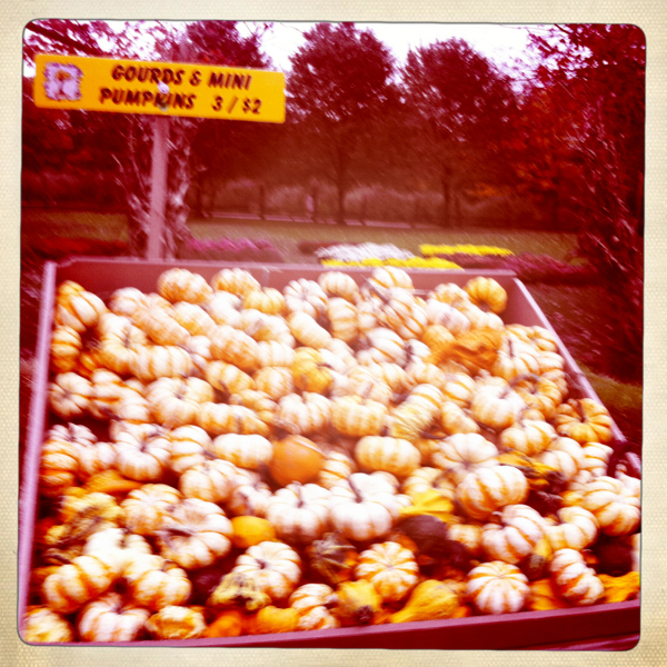 Hip 340925303.112045