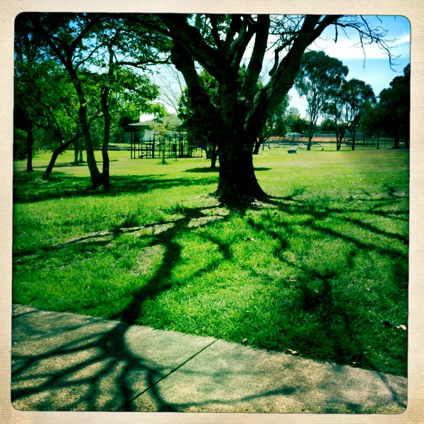 Hip 341204648.157256