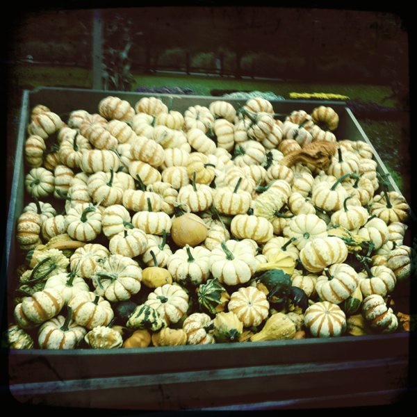 Hip 340925254.932474