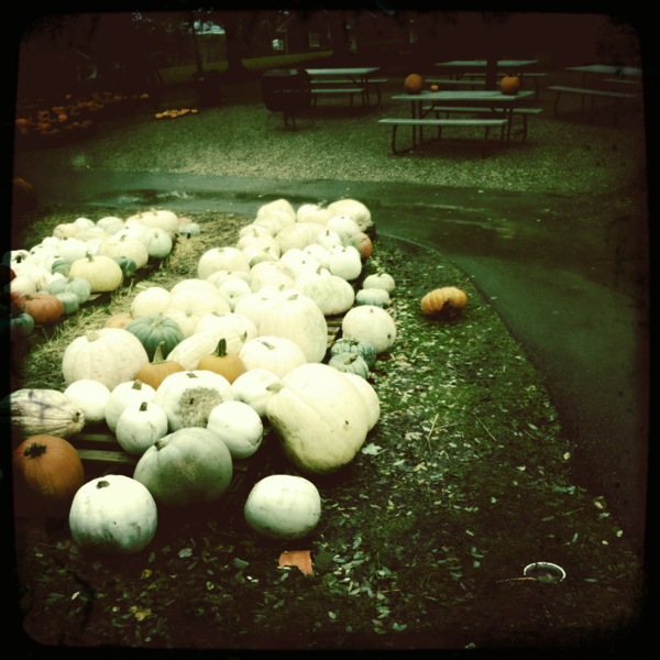 Hip 340923890.976135