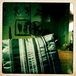 Hip 341111790.582964