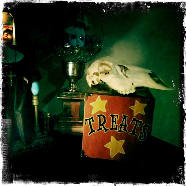 Hip 341206195.118883