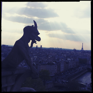 Hip 324661886.162470