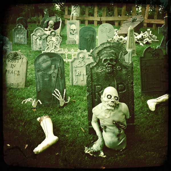 Hip 341019021.158272