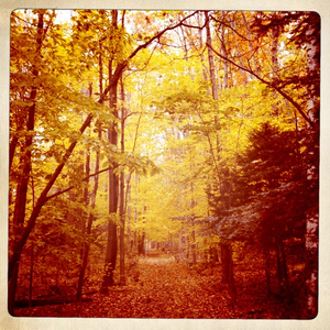 Hip 341080582.299802