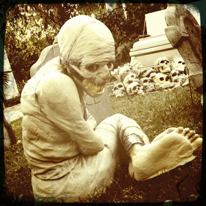 Hip 341022120.440100