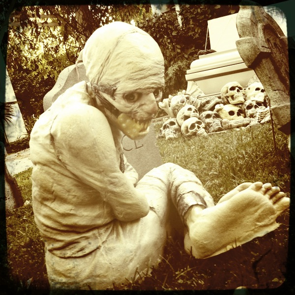 Hip 341022120.440100