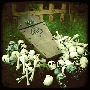 Hip 341018972.132065