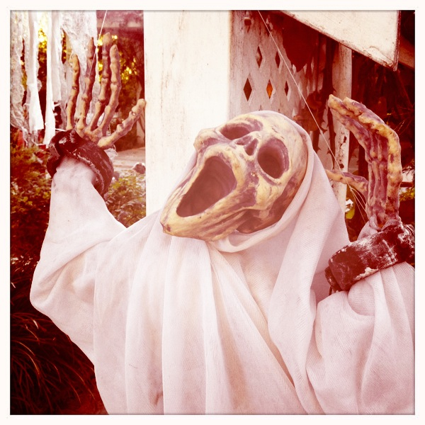 Hip 341022051.063469