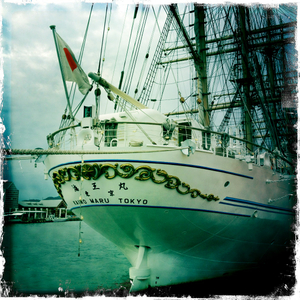 Hip 341132878.305293