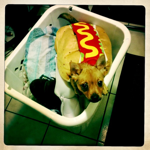 Hip 340430656.771974