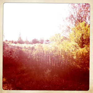 Hip 341185027.664630