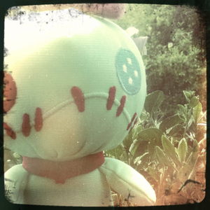 Hip 333979442.223422