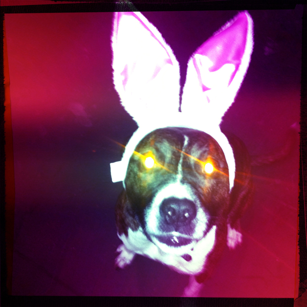 Hip 337109543.708814