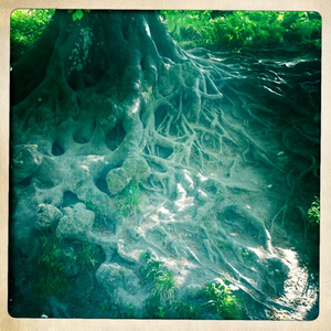 Hip 325434390.793667