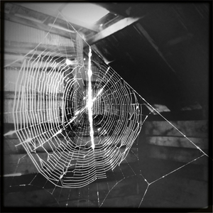 Hip 331252284.123154