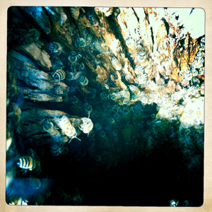 Hip 341191277.460310