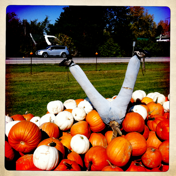 Hip 339789048.497408