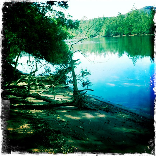 Hip 341122104.239314