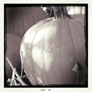 Hip 341239912.931032