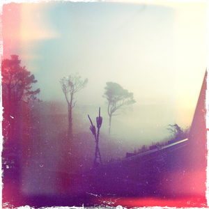 Hip 341238116.754502