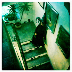 Hip 341244798.835154