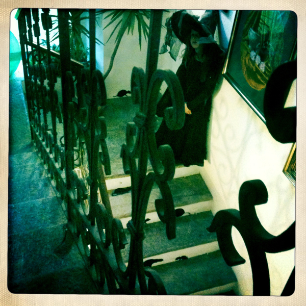 Hip 341245335.691500