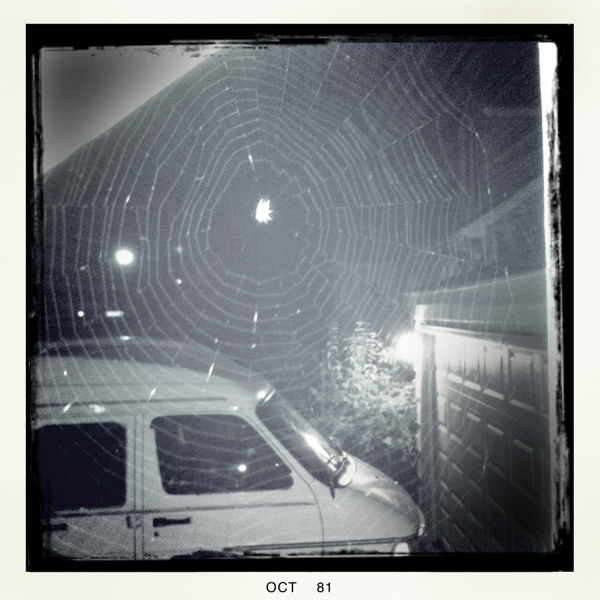 Hip 341110445.936536