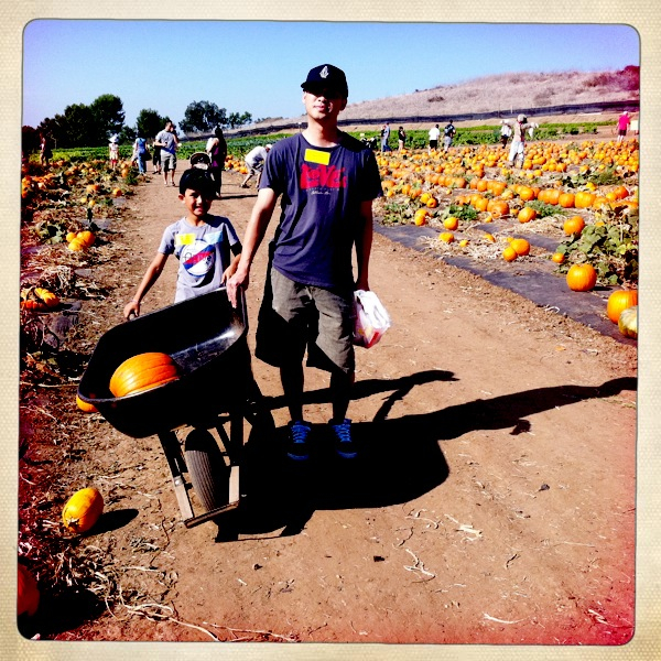 Hip 340409410.332266