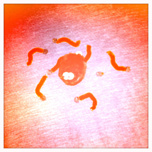 Hip 341242471.725212