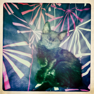 Hip 341251387.499261