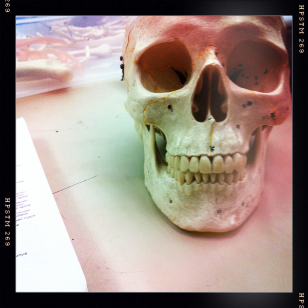 Hip 339451417.948211