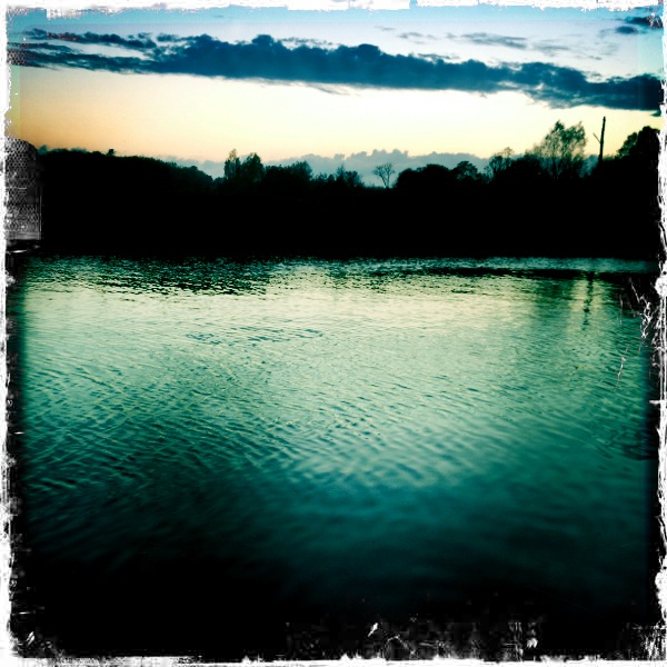 Hip 341254203.330538