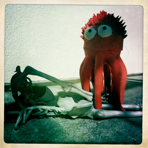 Hip 338731716.470340