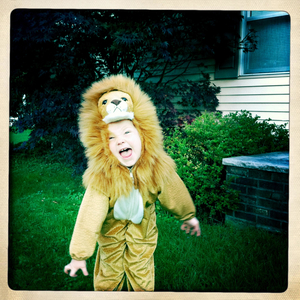 Hip 341097549.168441