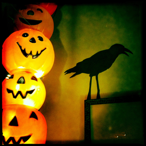 Hip 341201159.799281