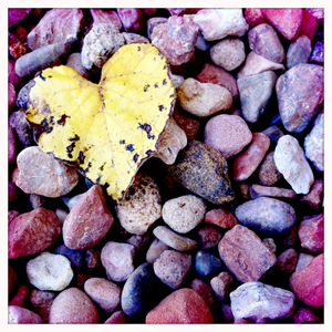 Hip 341256445.969208